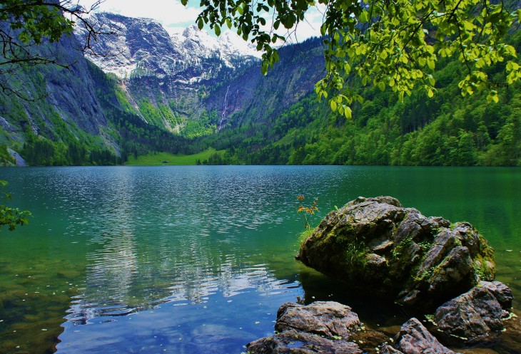  . ׸       -       ,   ,       .