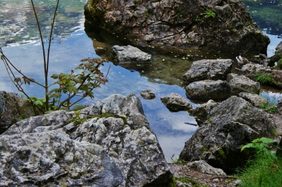 photo 860227