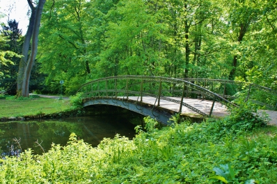 photo 907876