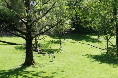 photo 874062
