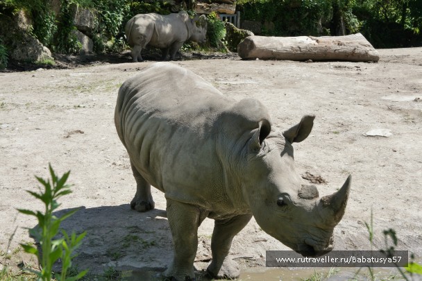 photo 874067