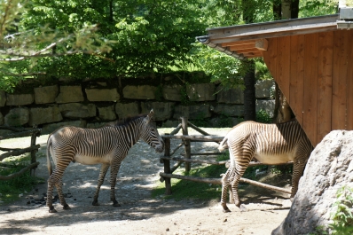 photo 874101