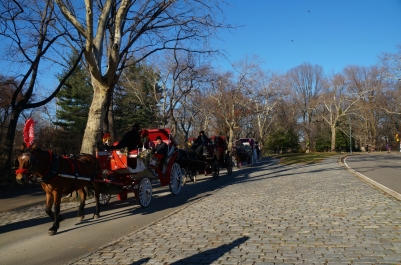 photo 937626