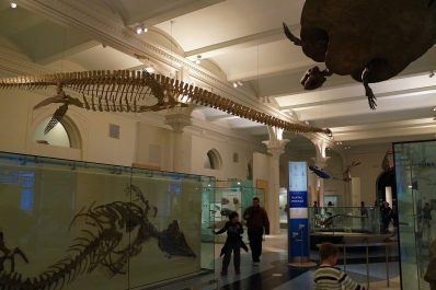 photo 945349