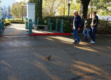 photo 937397