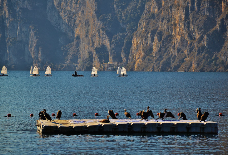           ,          .     .     ?