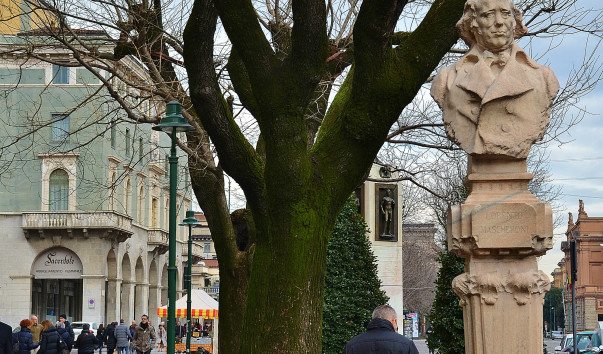 DSC_0106 (2)