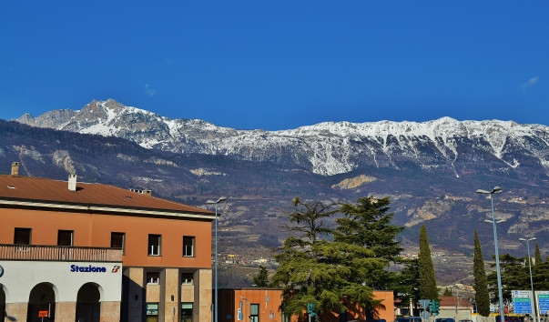 DSC_0345 (2)