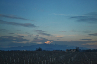 photo 1003280
