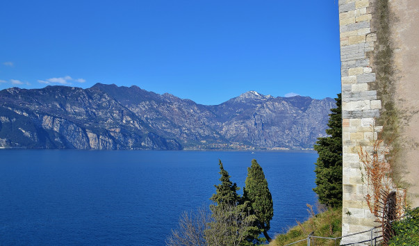 DSC_0669 (2)
