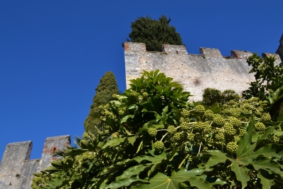 photo 1020061
