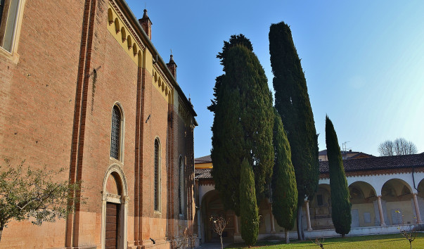 DSC_0038 (3)