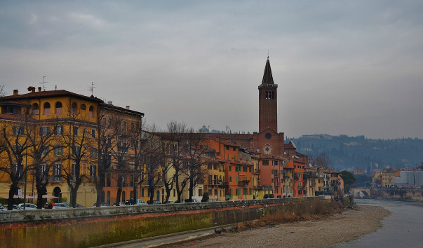 DSC_0610 (3)