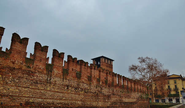 DSC_0382 (3)
