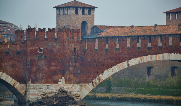 DSC_0362 (3)