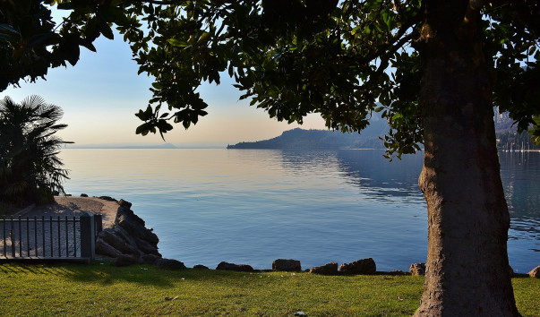 DSC_0888 (2)