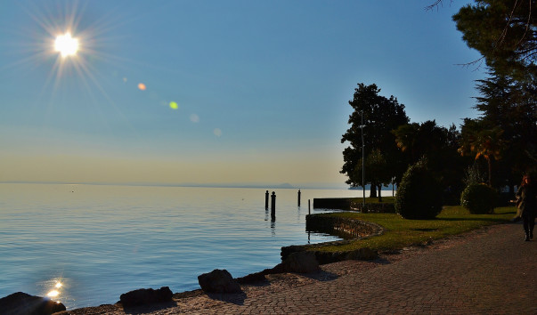DSC_0873 (2)