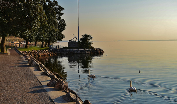 DSC_0920 (2)