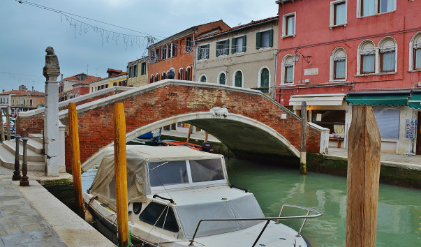 DSC_0489 (2)