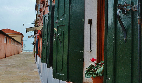 DSC_0514 (2)