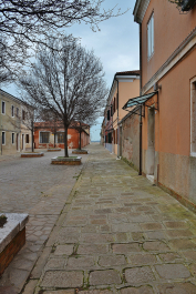 photo 1004681