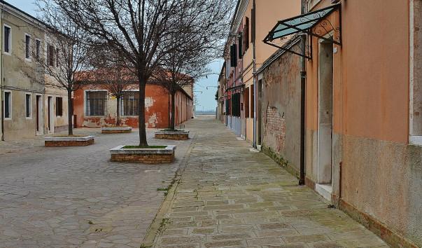 DSC_0512 (2)