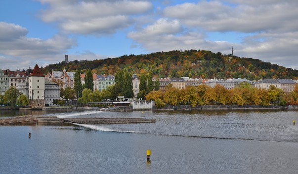 DSC_0277 (2)
