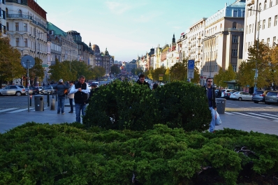 photo 1218868