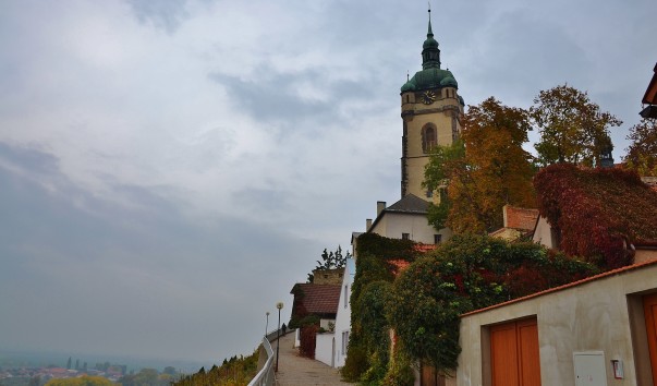 DSC_0219 (3)