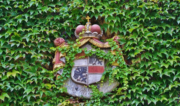 DSC_0276 (3)