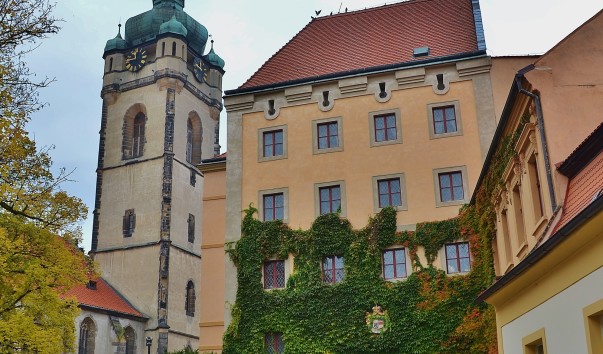 DSC_0272 (3)