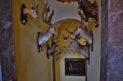 photo 1153250
