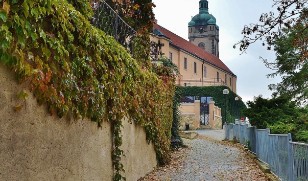 DSC_0159 (3)