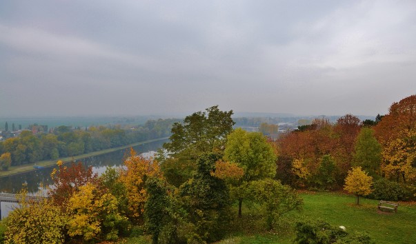 DSC_0150 (3)