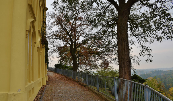 DSC_0151 (3)