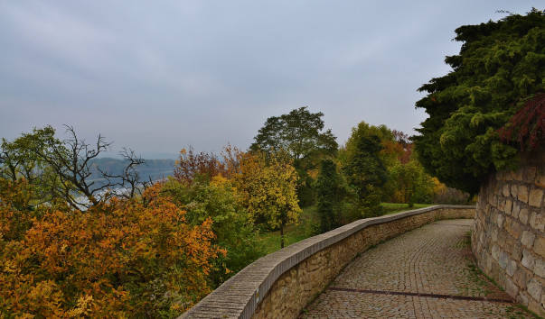 DSC_0172 (3)