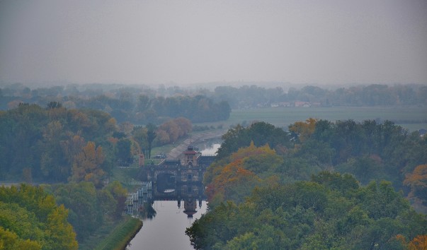 DSC_0194 (3)