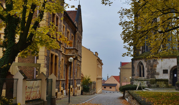DSC_0266 (3)