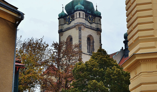 DSC_0257 (3)