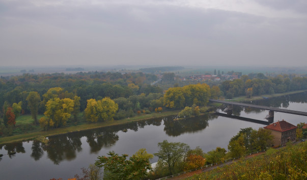 DSC_0192 (3)