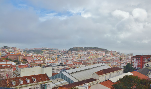 DSC_0671 (3)