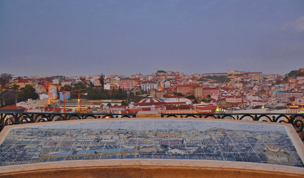 DSC_0168 (2)