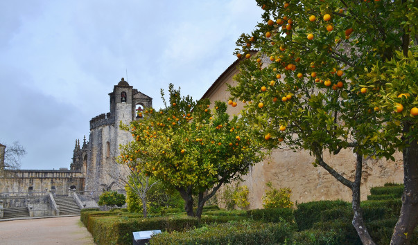DSC_0224 (3)