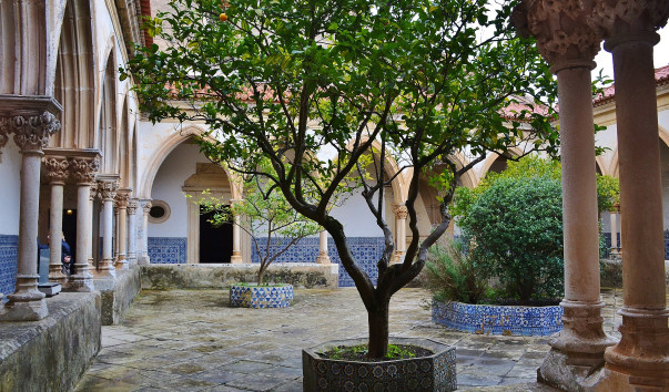 DSC_0256 (3)