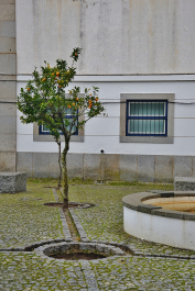 photo 1438645