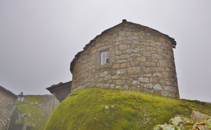 photo 1454454