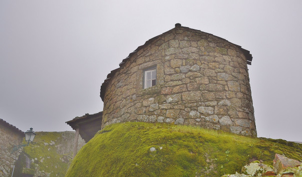 DSC_0520 (2)