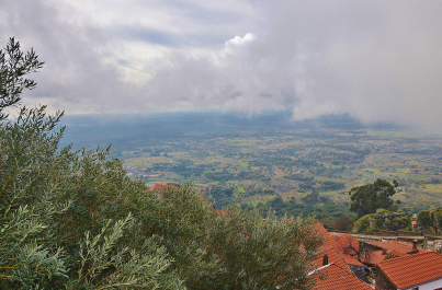 photo 1454788