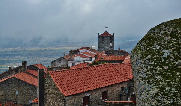 DSC_0610 (2)