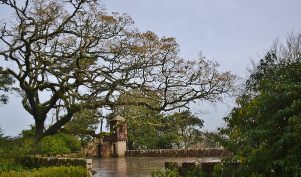 DSC_0834 (2)
